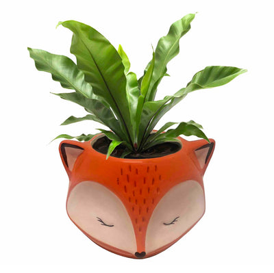 Gifts for Plant Parents