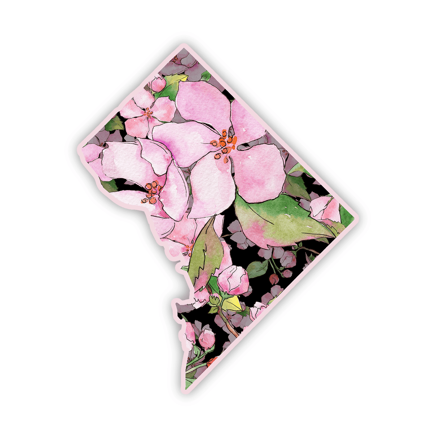 Washington, DC Cherry Blossoms - Vinyl Sticker