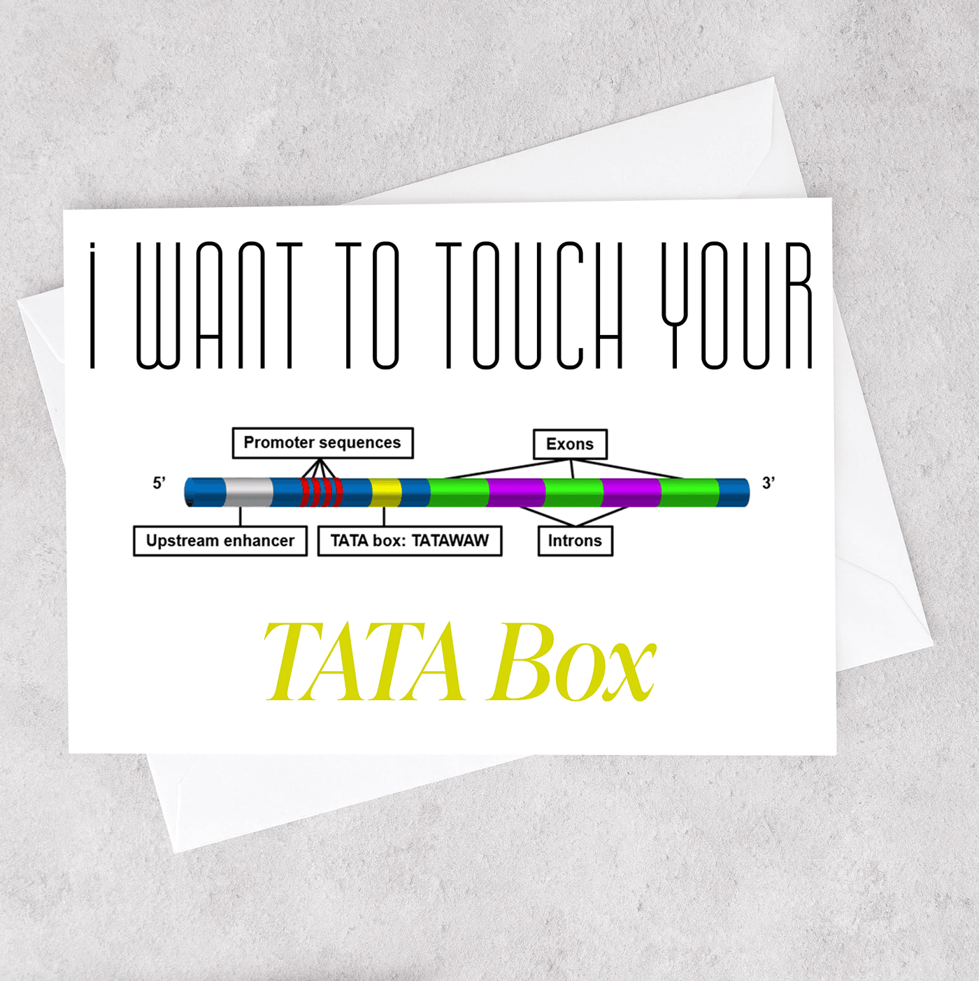 I Want to Touch Your TATA Box - Greeting Card
