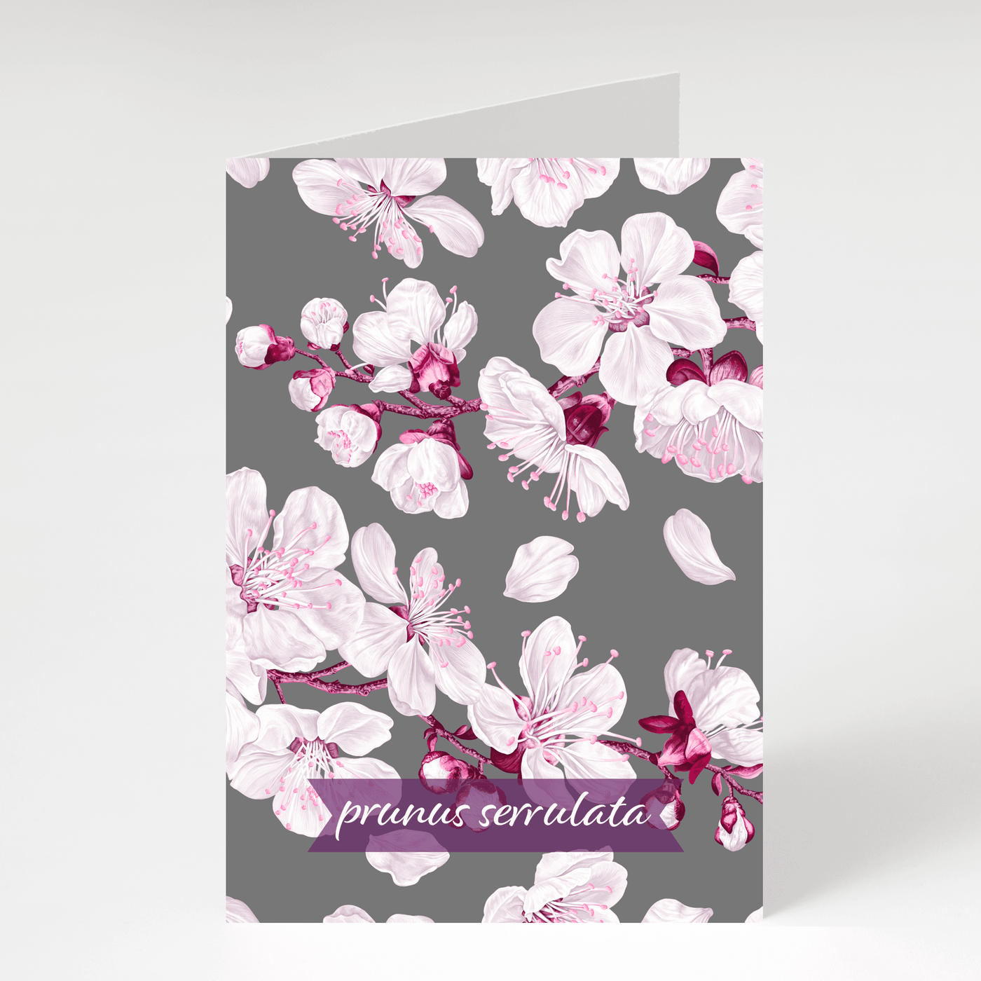 Prunus Serrulata (Cherry Blossom) - Blank Greeting Card