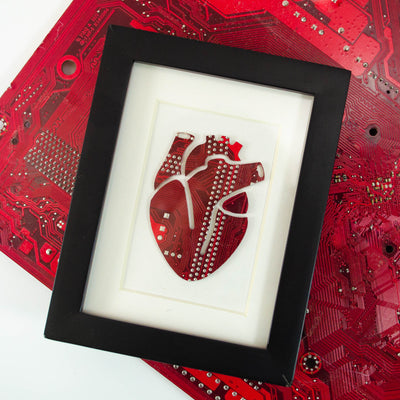 Mini Anatomical Heart Framed Art