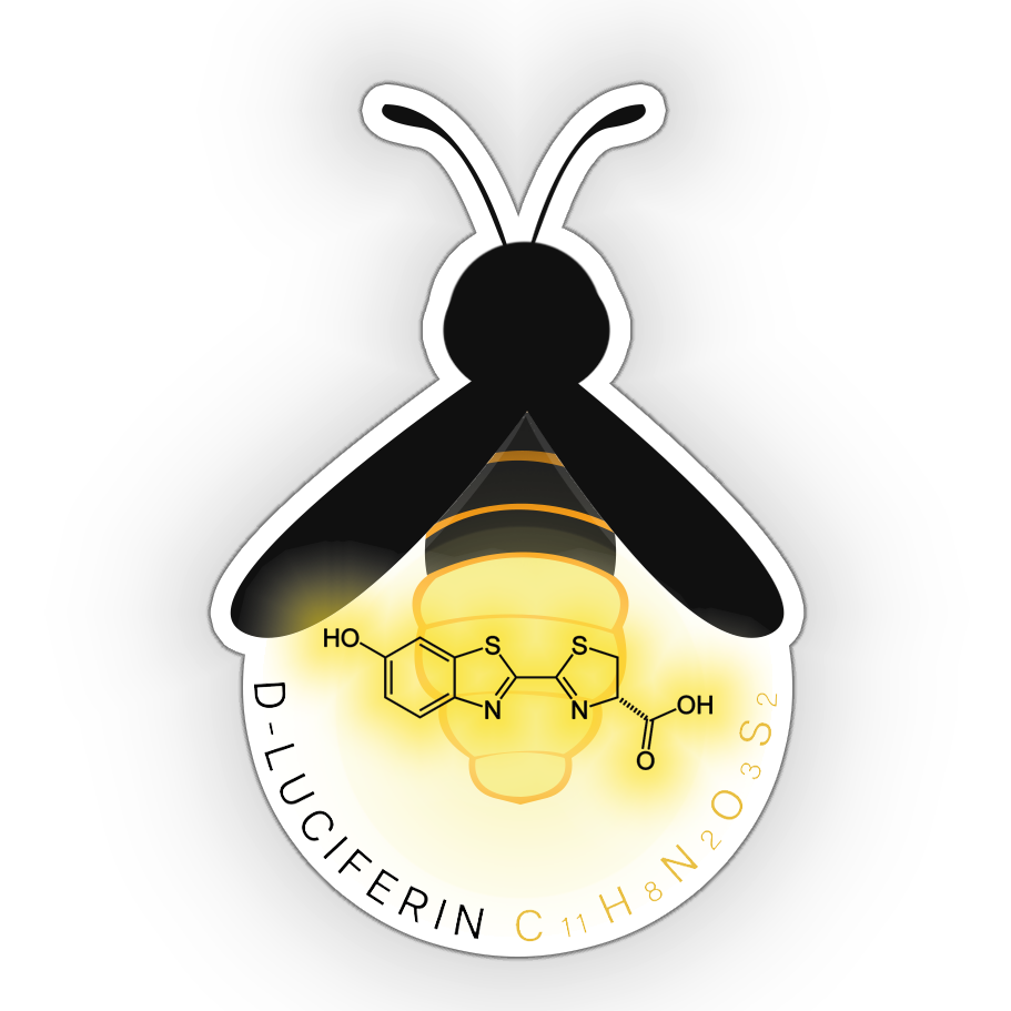 Firefly Terrarium | Vinyl Sticker Firefly Terrarium | Vinyl Sticker