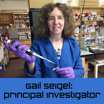 Gail M Seigel: Principal Investigator