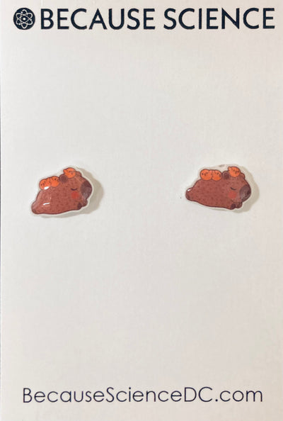 Capy Napping - Acrylic Post Earrings