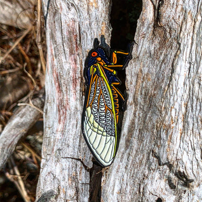 Periodical Cicada - Enamel Pin