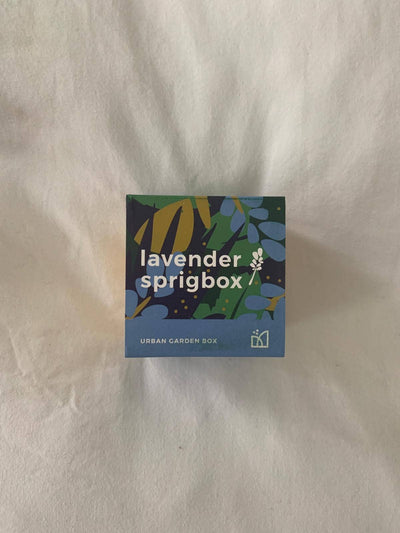 Lavender Grow Kit | Wooden Planter Box