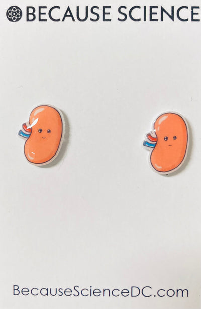 Kidney - Acrylic Post Earrings