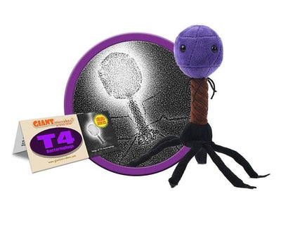 T4 Bacteriophage Plushie