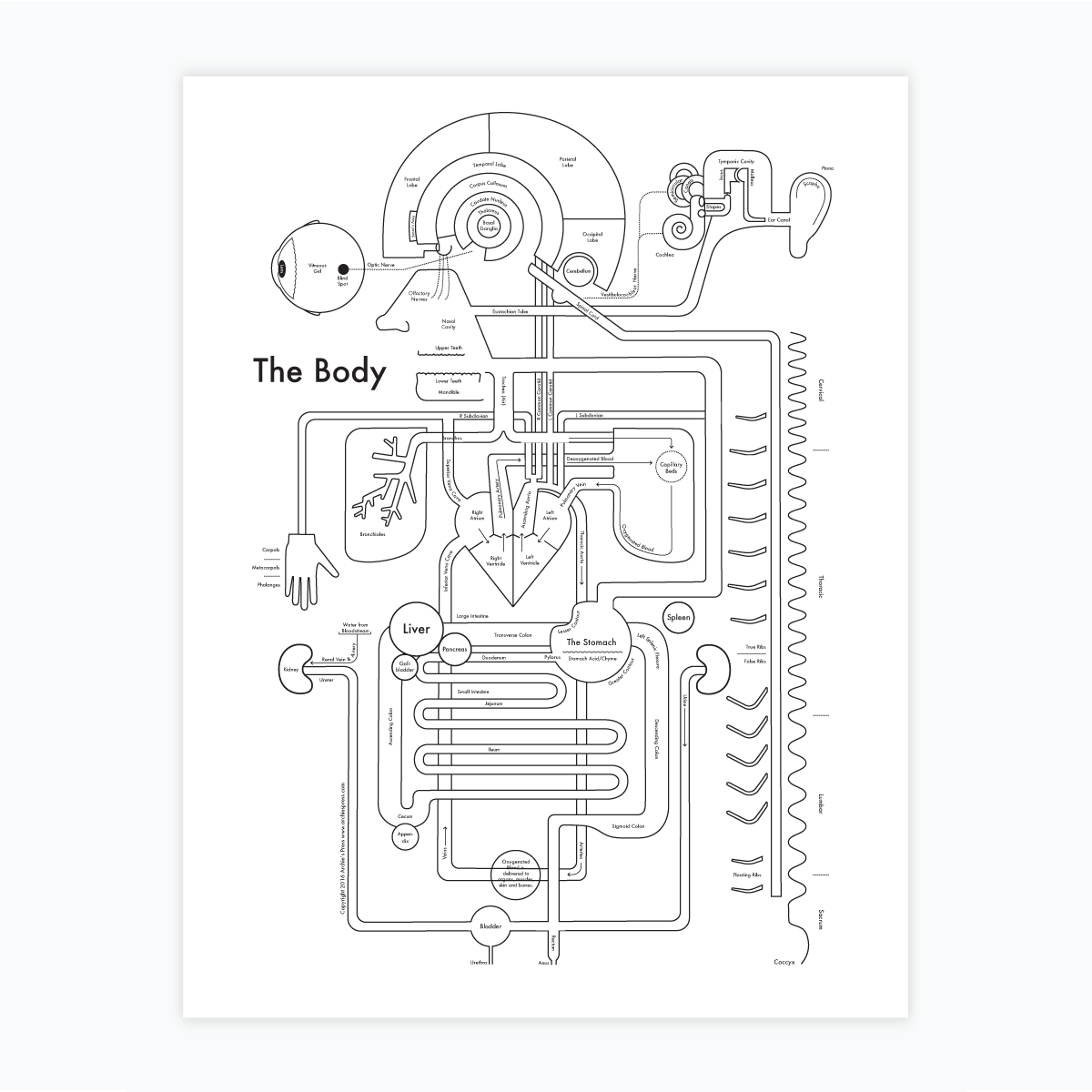 The Body Letterpress Print: 8.5" x 11"