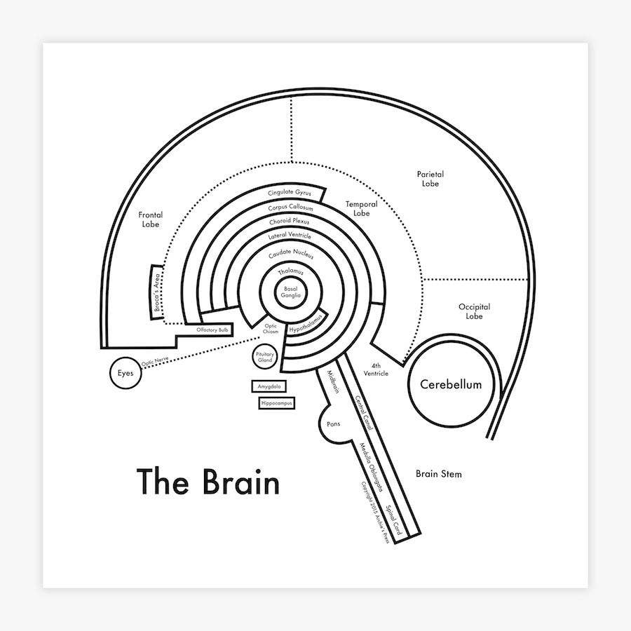 The Brain Letterpress Print: 8" x 8"