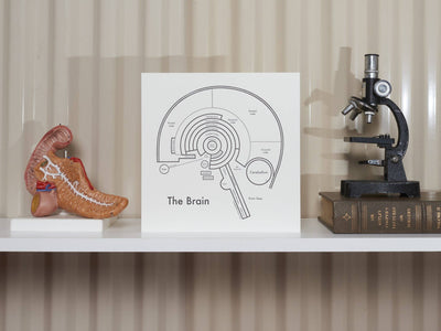 The Brain Letterpress Print: 8" x 8"
