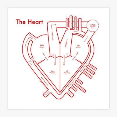 The Heart Map Letterpress Print: 8" x 8"