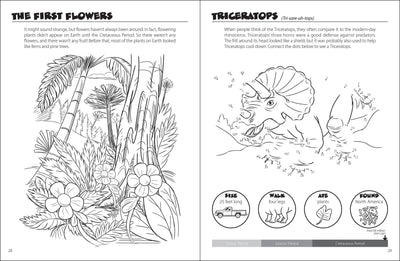 Dinosaur Discovery Activity Book
