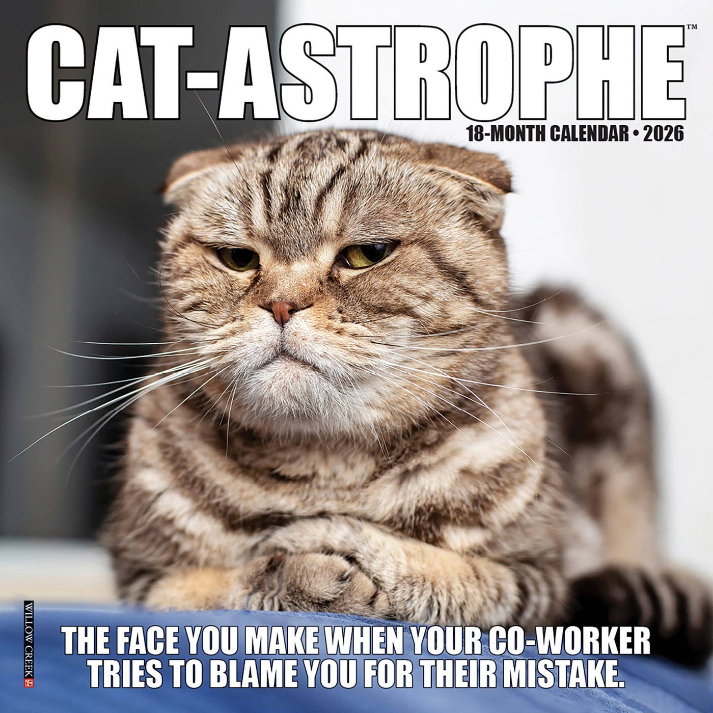 Cat-astrophe - 2026 Mini Wall Calendar