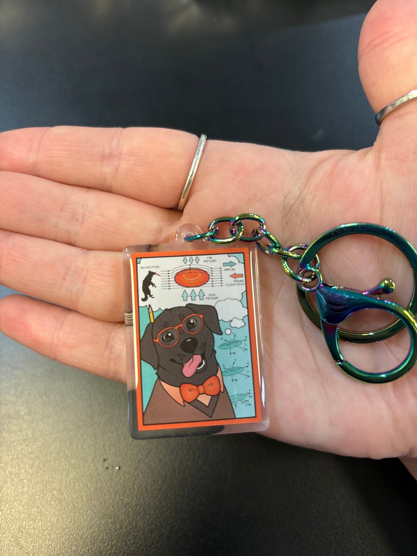 The STEM Dogs: Black Lab Physics - Acrylic Keychain