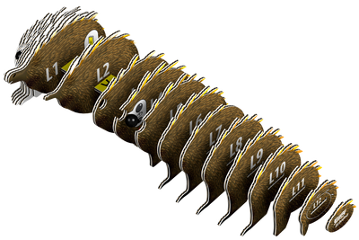 Echidna EUGY -  3D Puzzle
