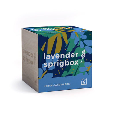 Lavender Grow Kit | Wooden Planter Box