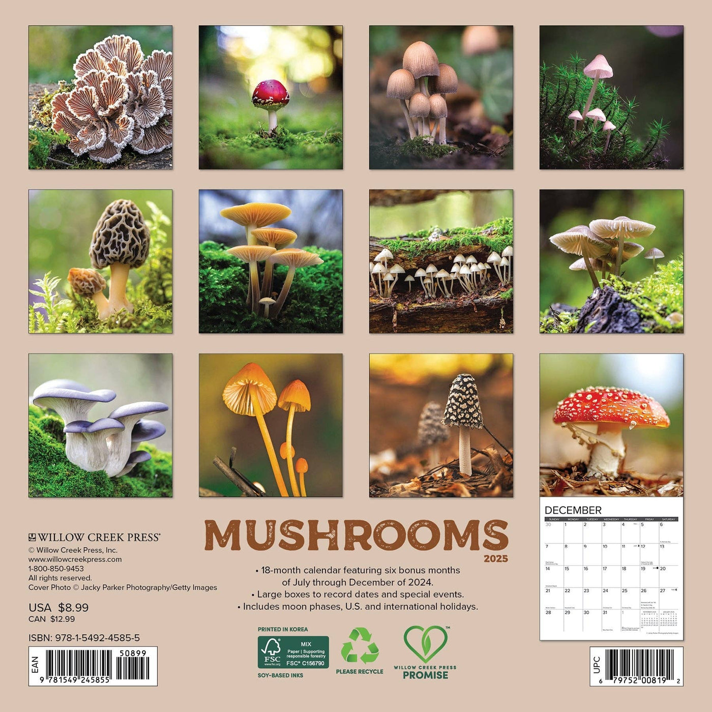 Mushrooms Mini Wall Calendar