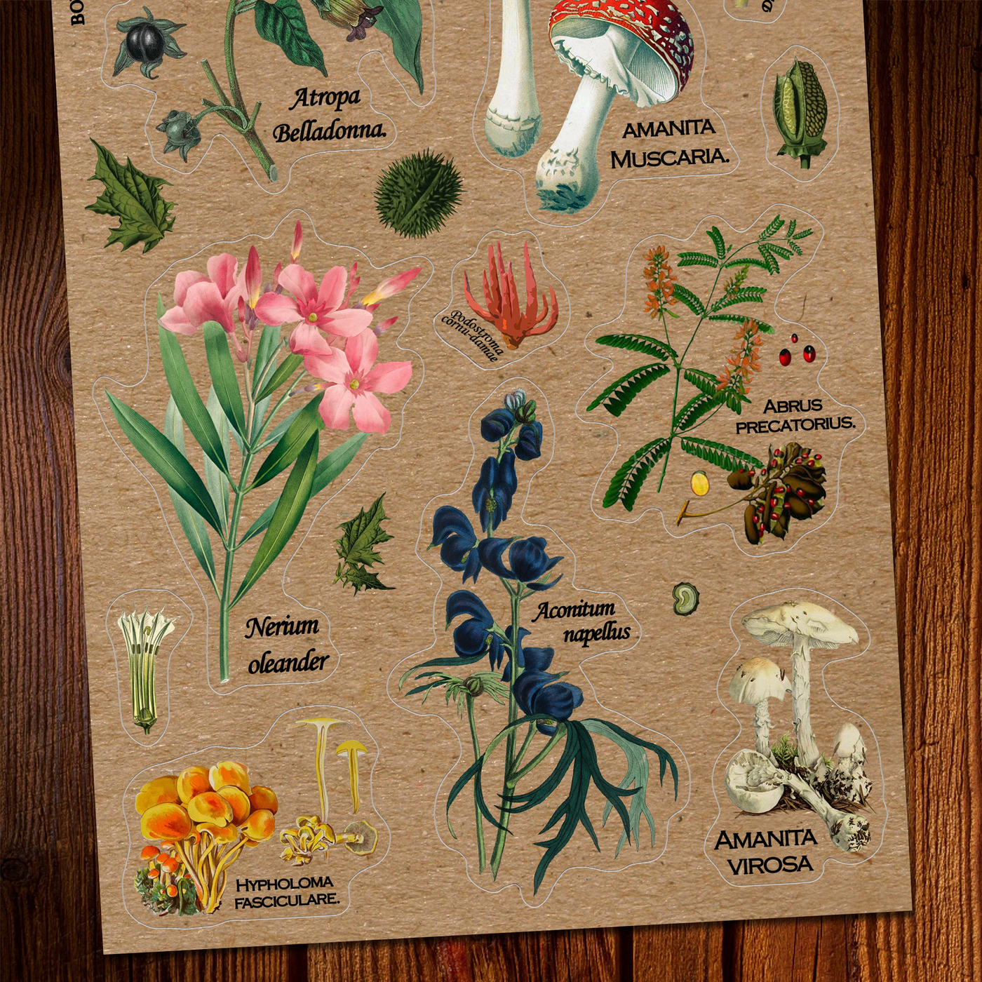 Poisonous Plants Vintage Sticker Sheet