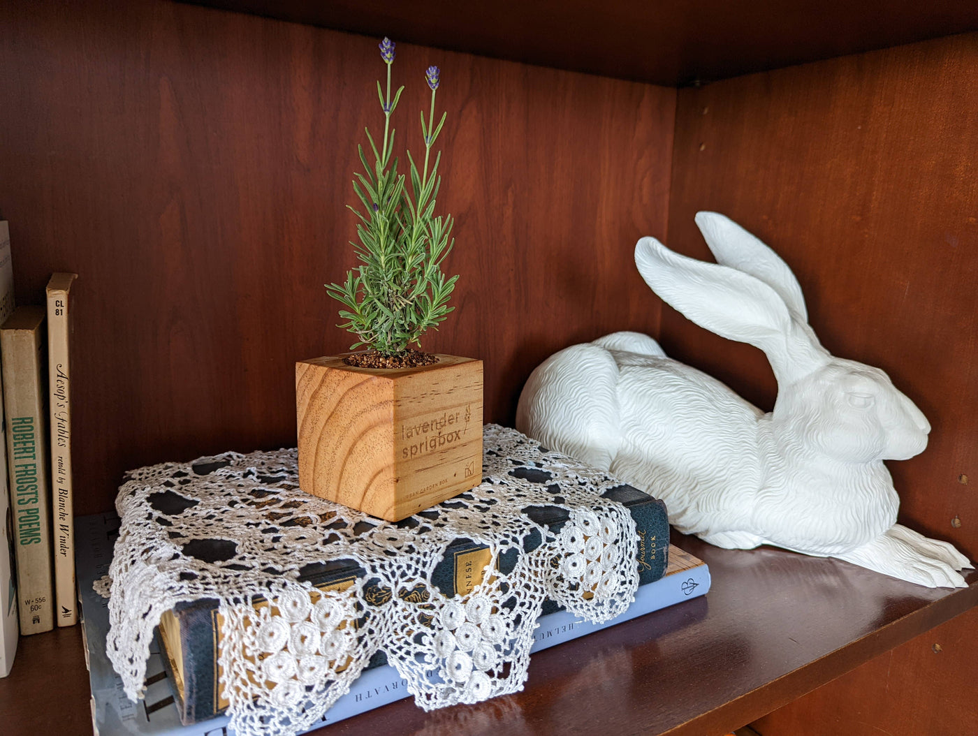 Lavender Grow Kit | Wooden Planter Box