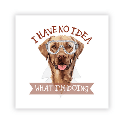 I Have No Idea What I'm Doing - 2x2 Magnet