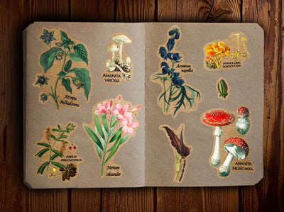 Poisonous Plants Vintage Sticker Sheet