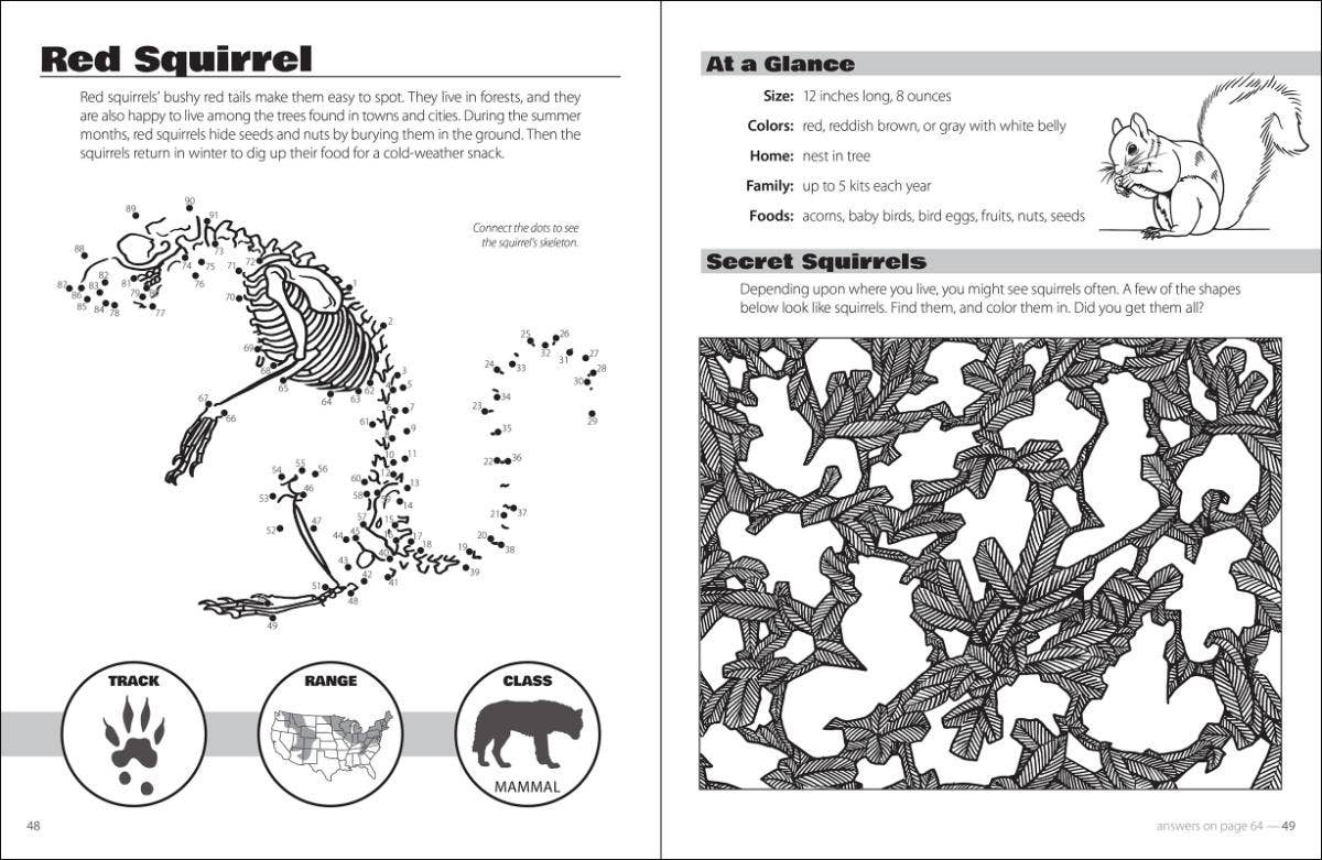 Animals and Skeletons Activity Book