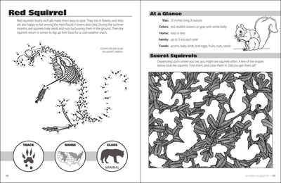 Animals and Skeletons Activity Book