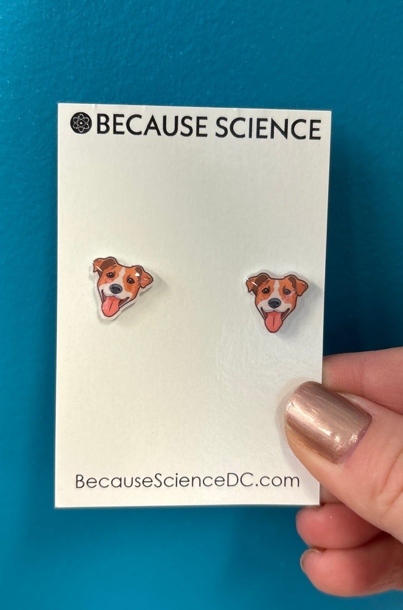 Dog Faces - Acrylic Post Earrings