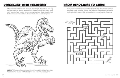 Dinosaur Discovery Activity Book