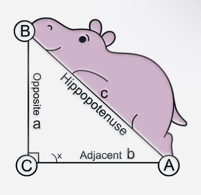 Hippopotenuse Enamel Pin