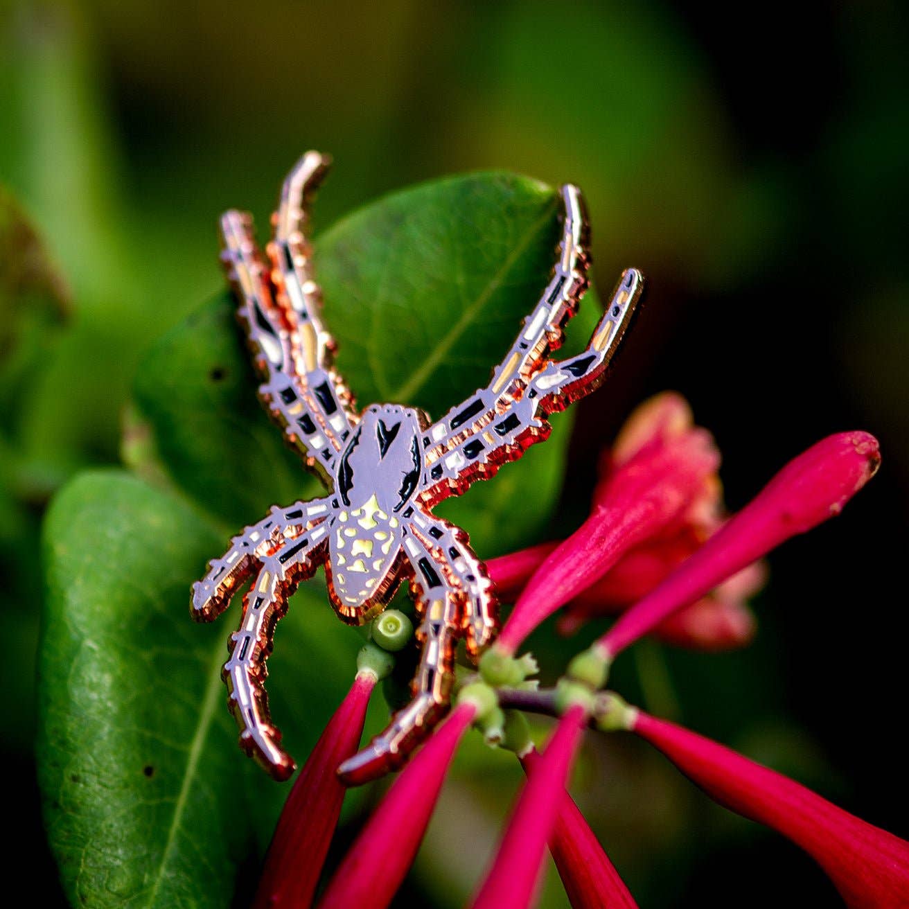 Marbled Orbweaver (Male) - Enamel Pin