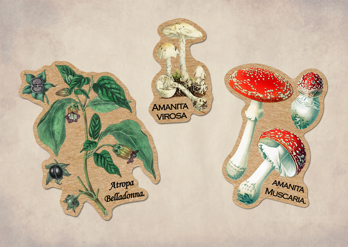 Poisonous Plants Vintage Sticker Sheet