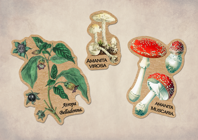 Poisonous Plants Vintage Sticker Sheet