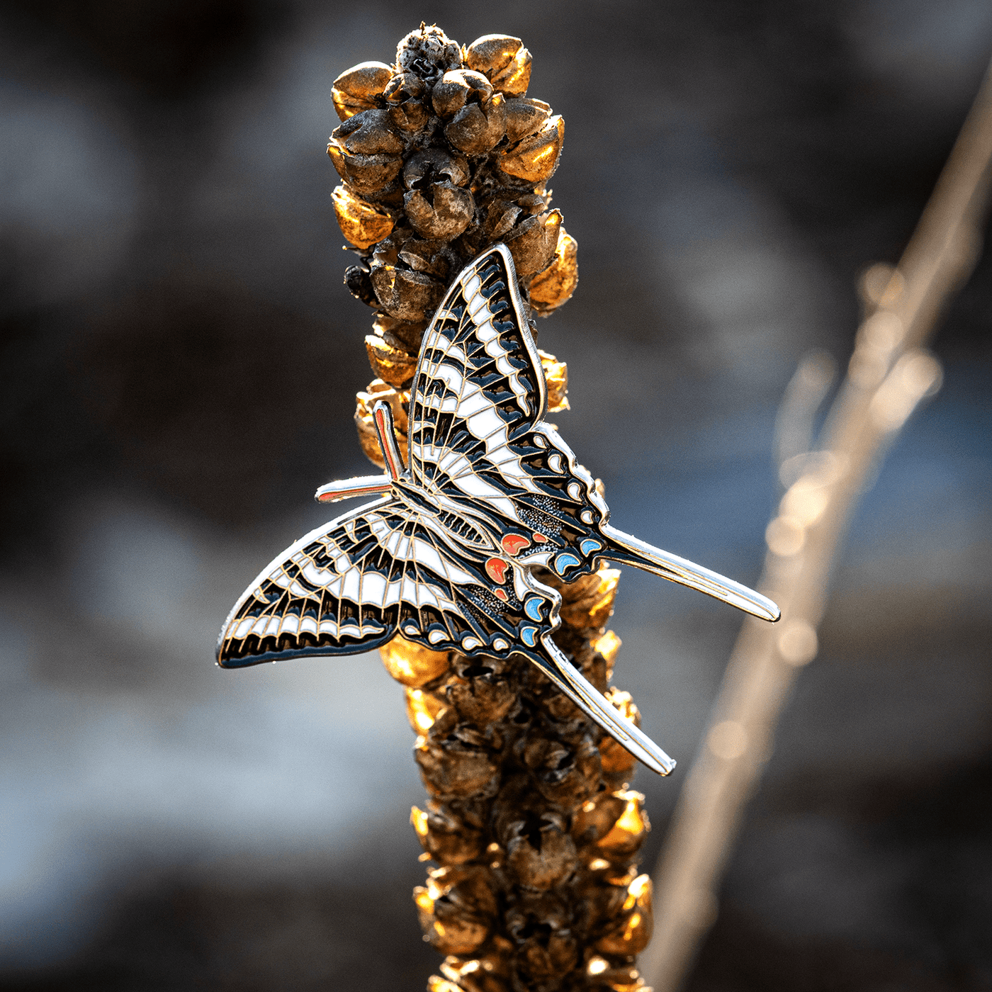 Zebra Swallowtail Butterfly - Enamel Pin