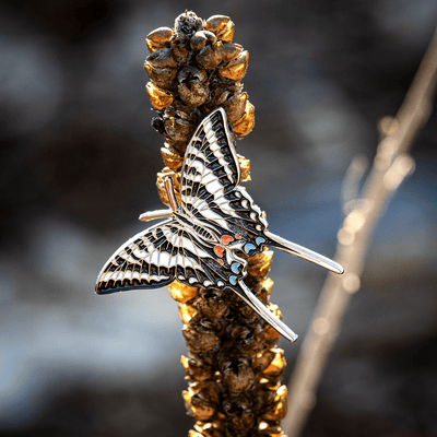 Zebra Swallowtail Butterfly - Enamel Pin