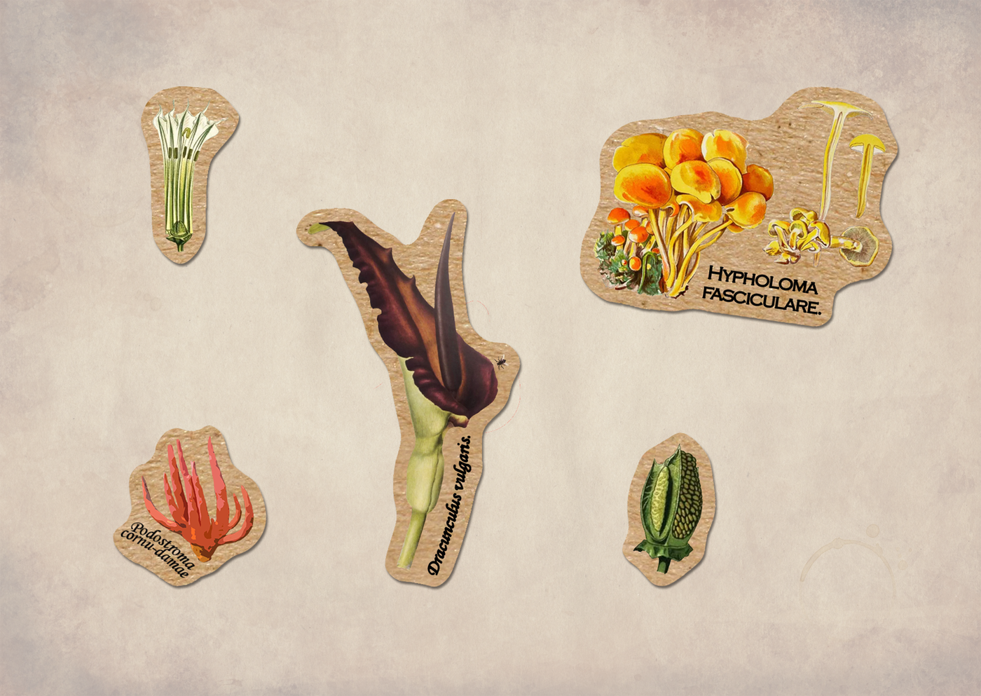 Poisonous Plants Vintage Sticker Sheet