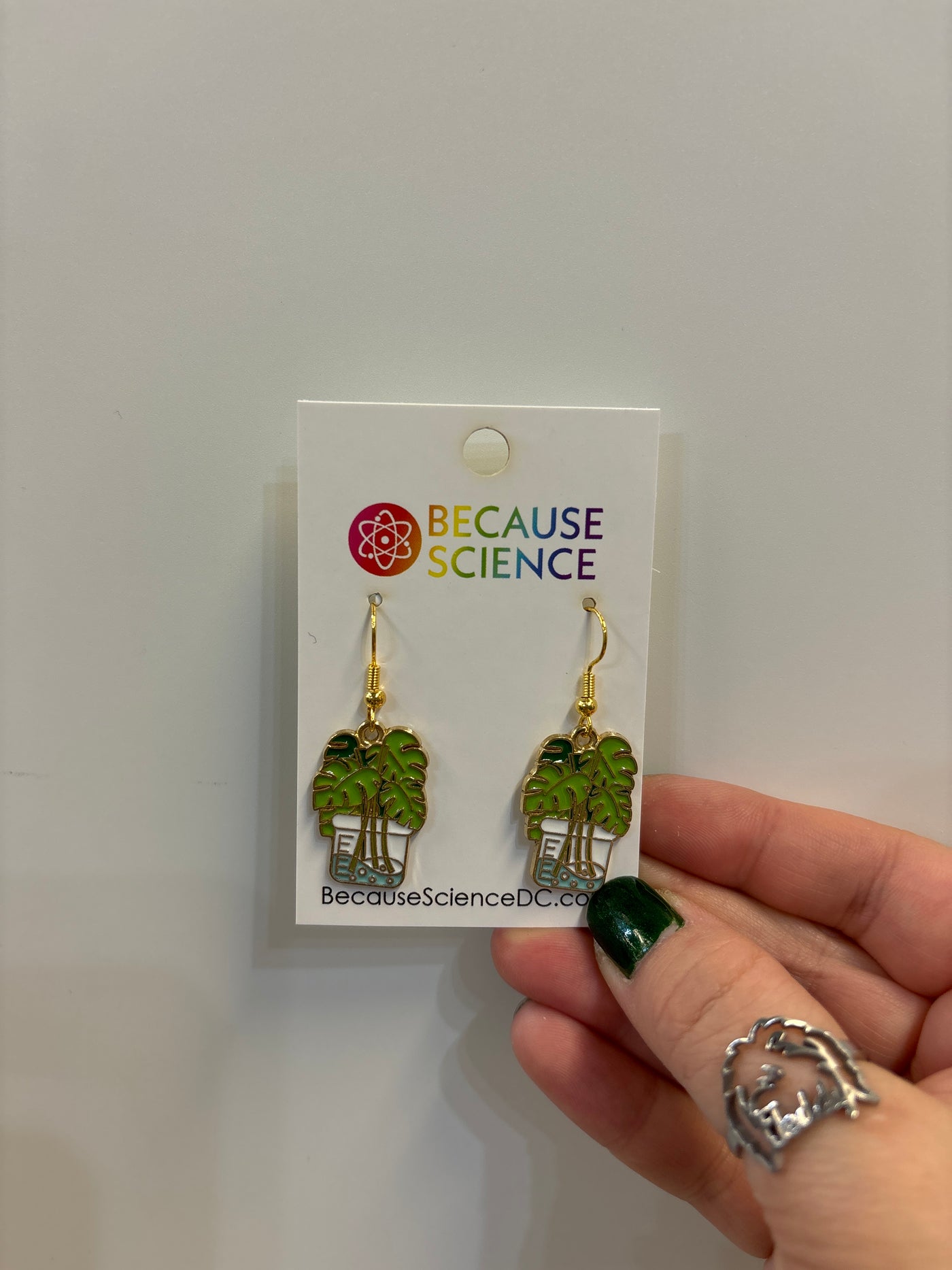 Monstera in Beaker Dangle Earrings