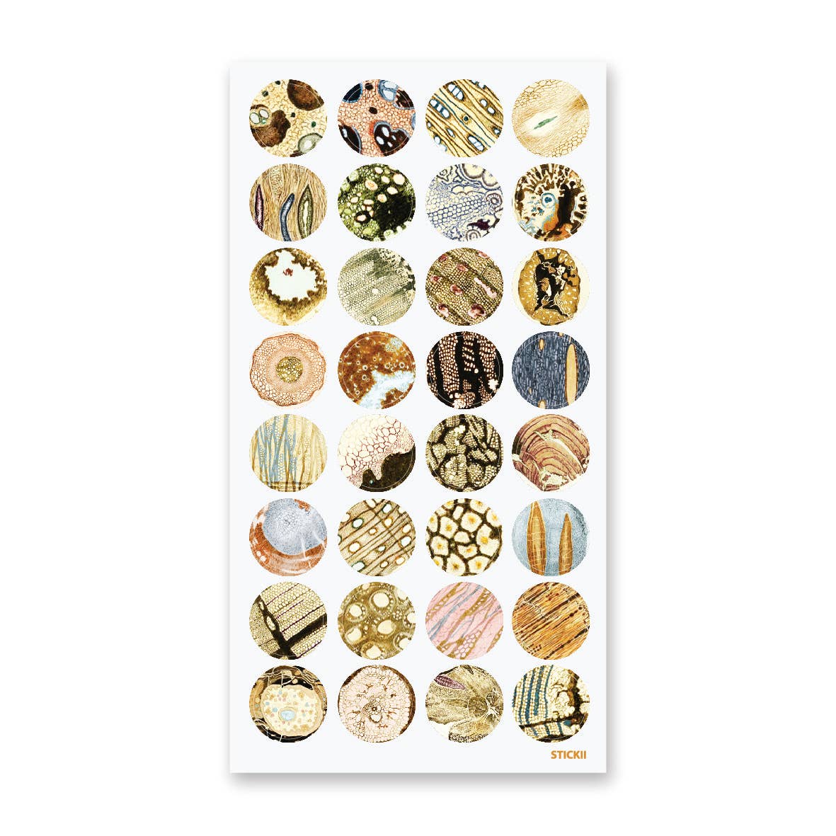 Microscope Slides - Sticker Sheet