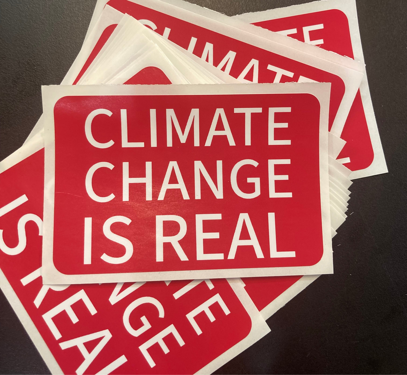 Climate Change is Real - Vinyl Sticker