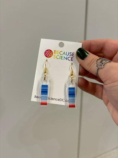 Climate Stripes - Acrylic Dangle Earrings