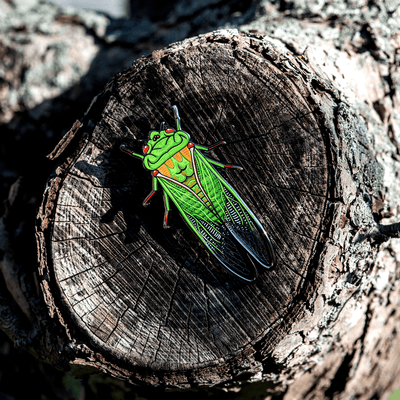 Greengrocer Cicada - Enamel Pin