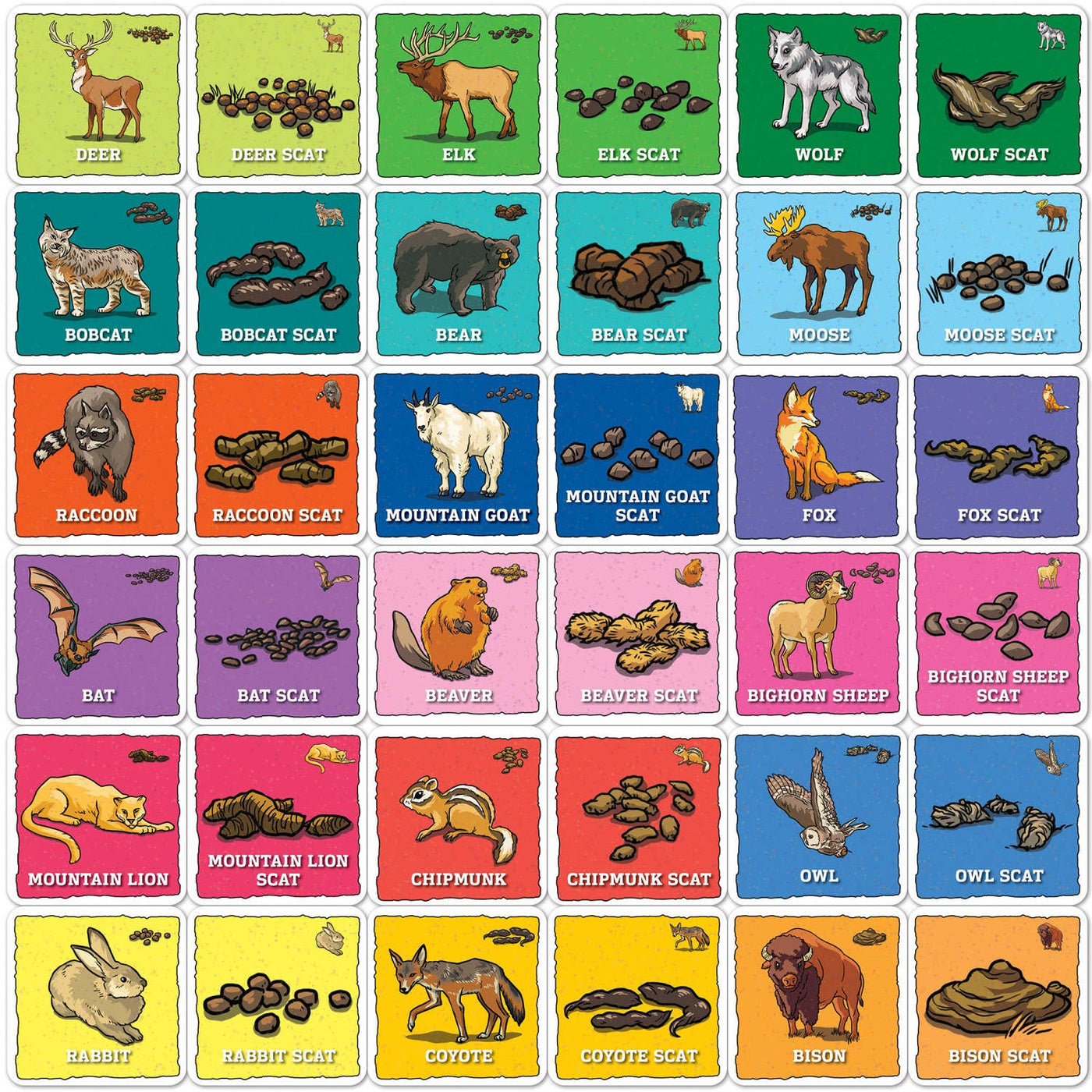 Animal Poop Matching Game - Jr. Ranger