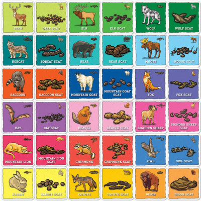 Animal Poop Matching Game - Jr. Ranger