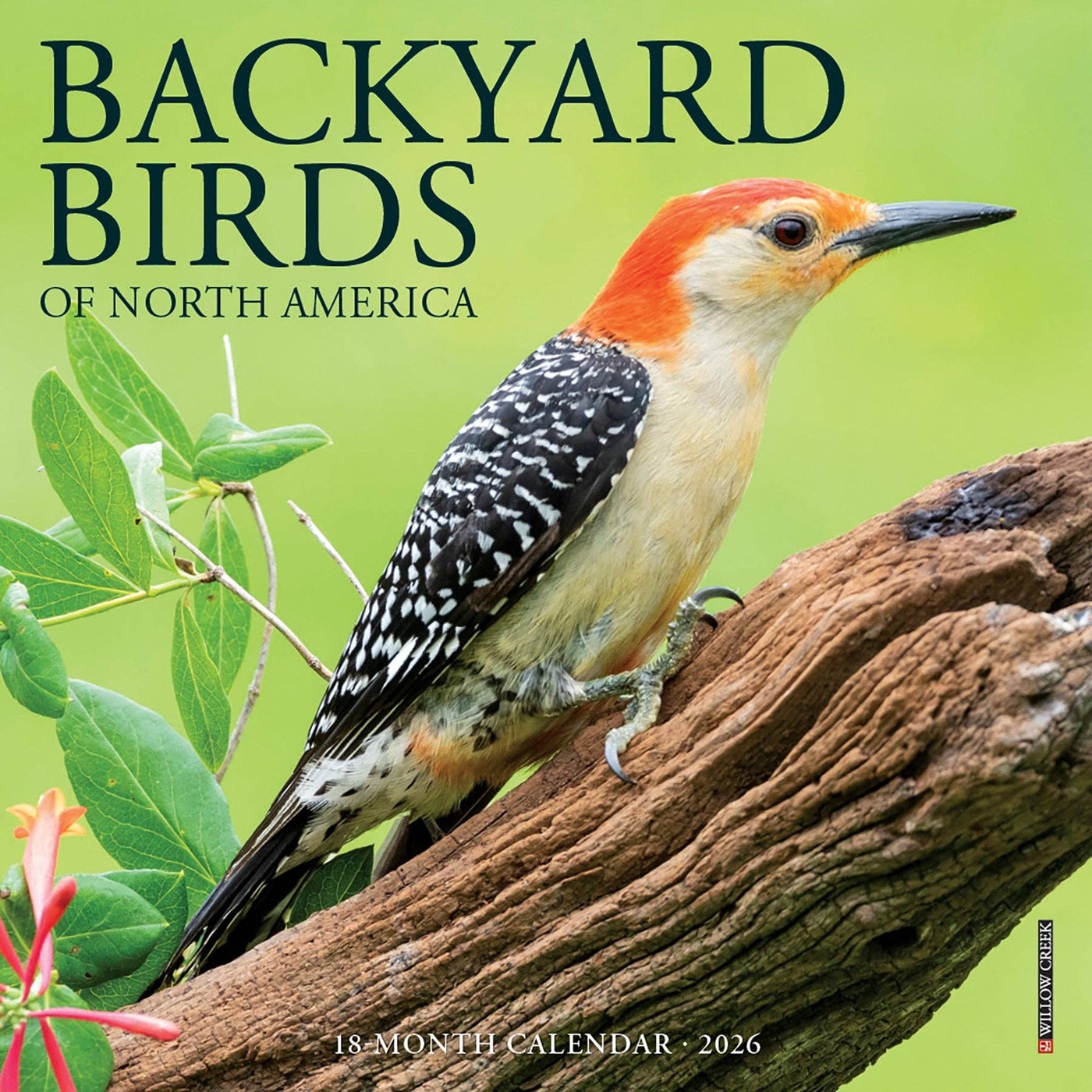 Backyard Birds - 2026 Mini Wall Calendar
