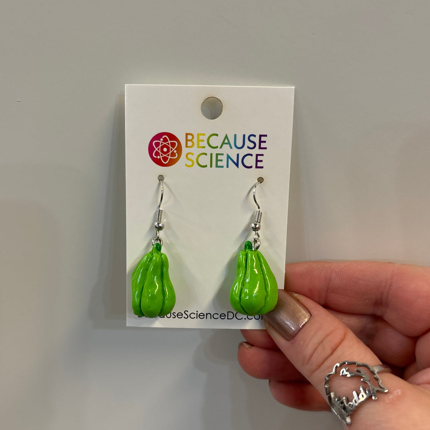 Assorted Vegetable 3D Dangle Earrings