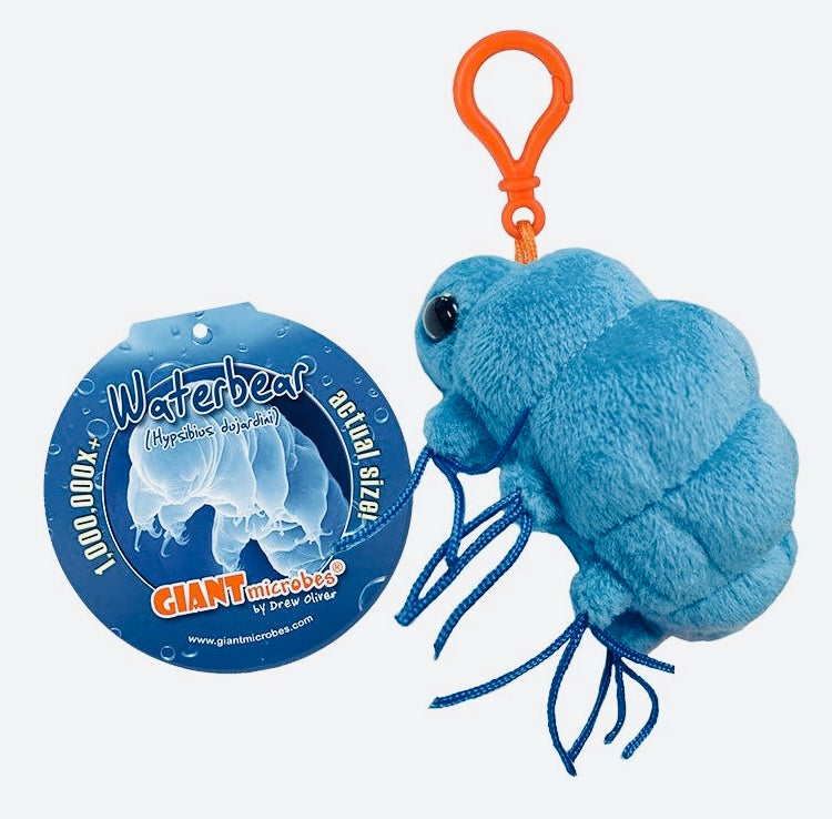 Tardigrade (water bear) Keychain