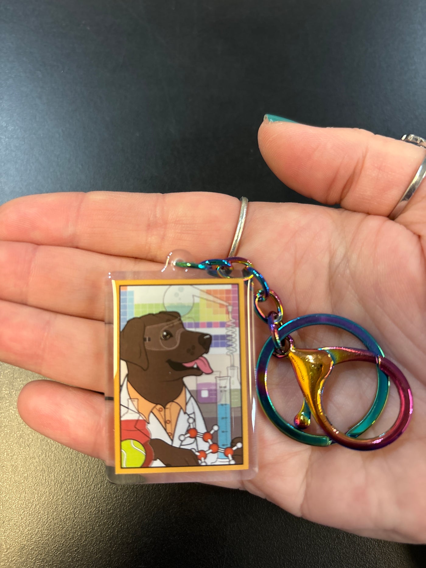 The STEM Dogs: Chocolate Lab Chemistry - Acrylic Keychain