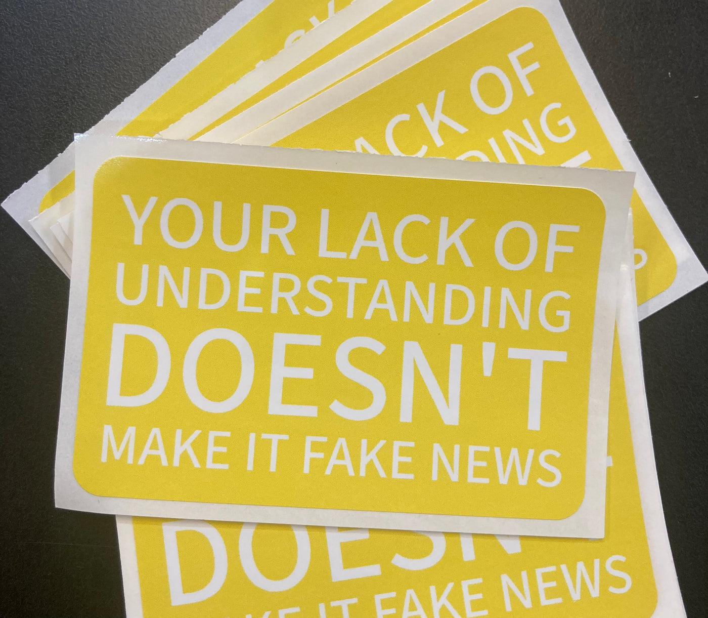 You're Lack of Understanding / Fake News - Vinyl Sticker