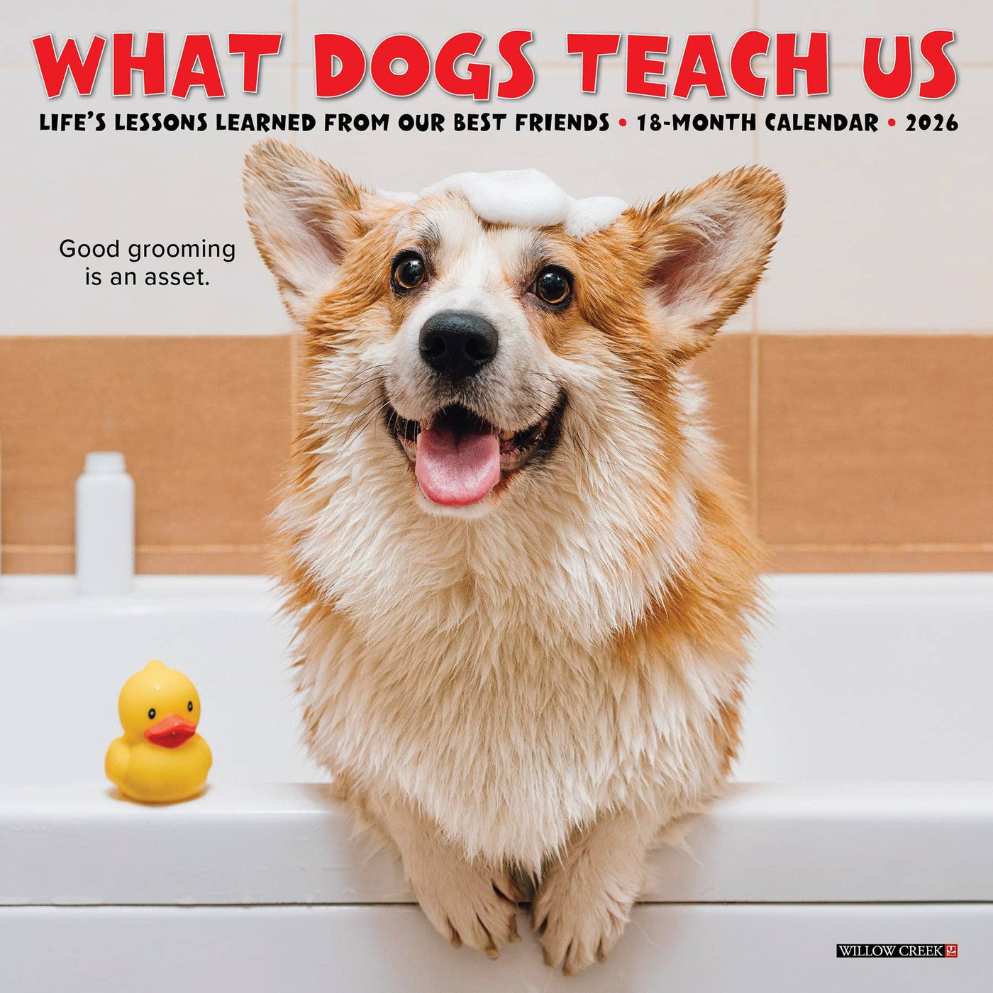 What Dogs Teach Us - 2026 Mini Wall Calendar